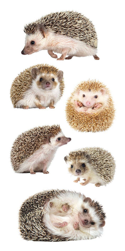Decorative Stickers - Hedgehogs