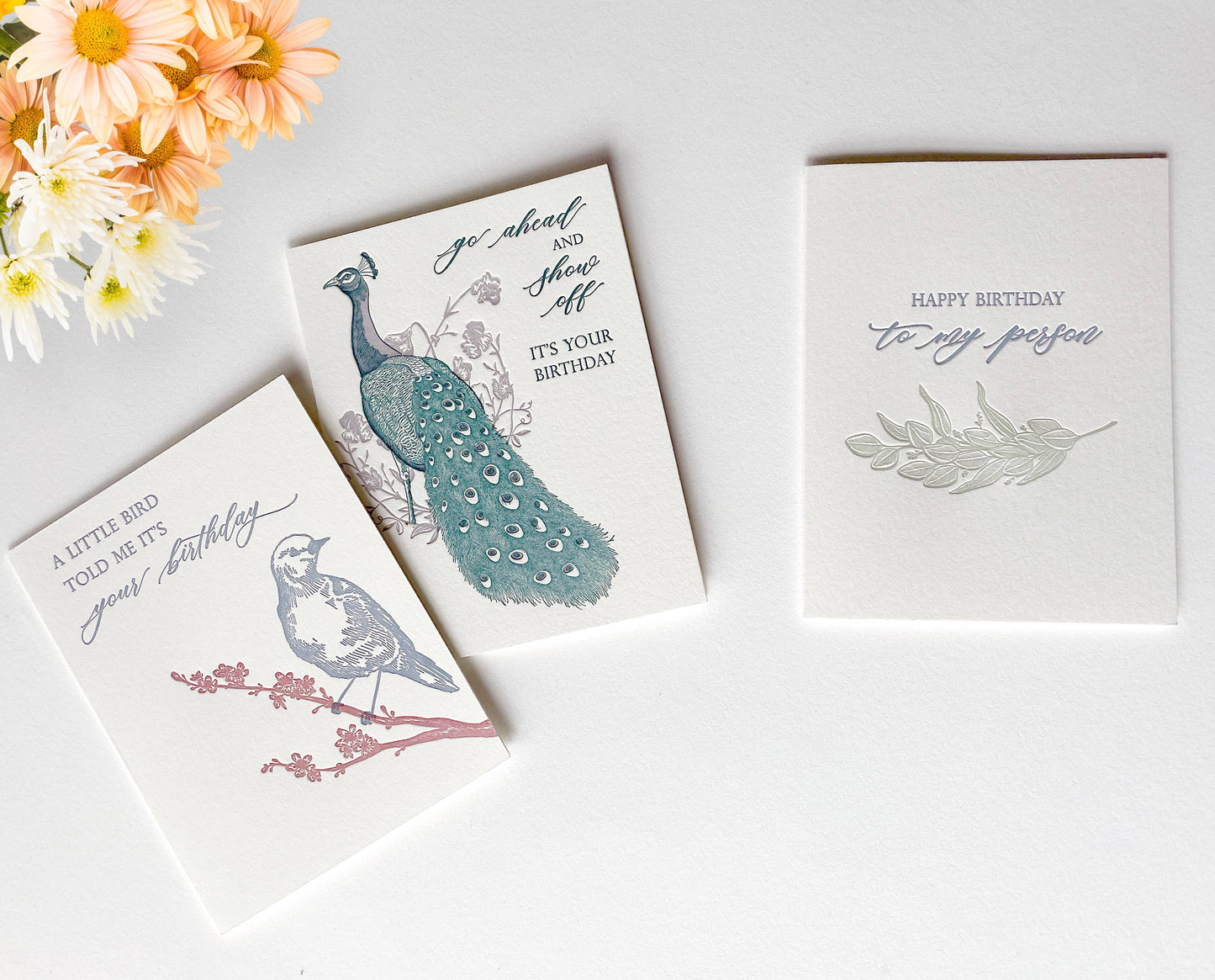 Bird Birthday Card Letterpress Greeting Card