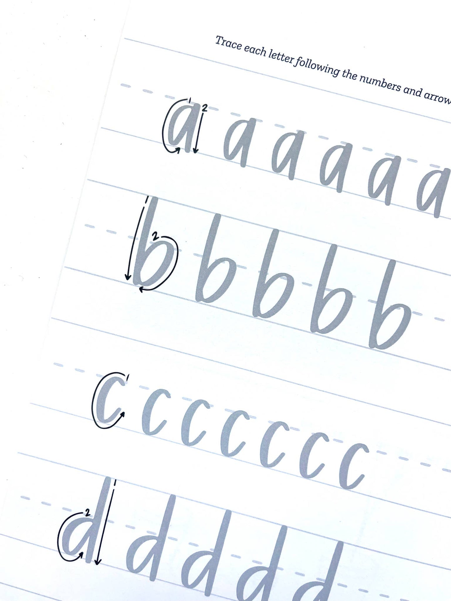Mindful Lettering for Fun: Plant Edition