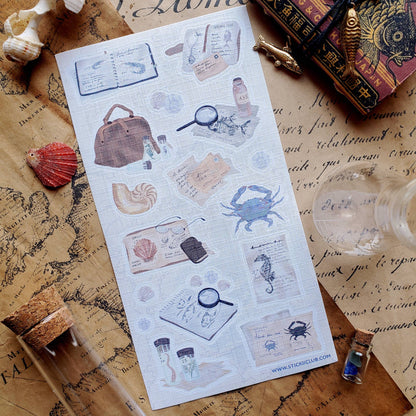 Ocean Studies Sticker Sheet
