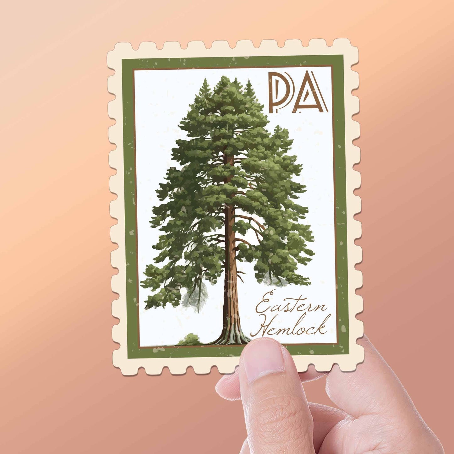 Pennsylvania State Tree Eastern Hemlock Sticker - PA Decal