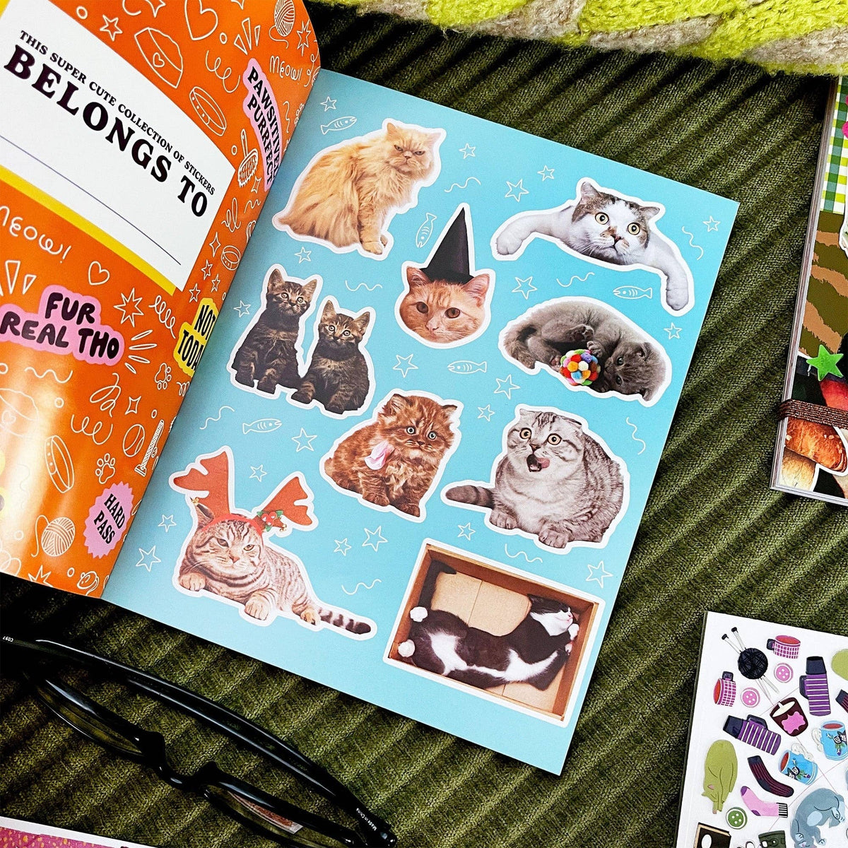 Cat sticker book page with blue background and assorted cat stickers, including kittens