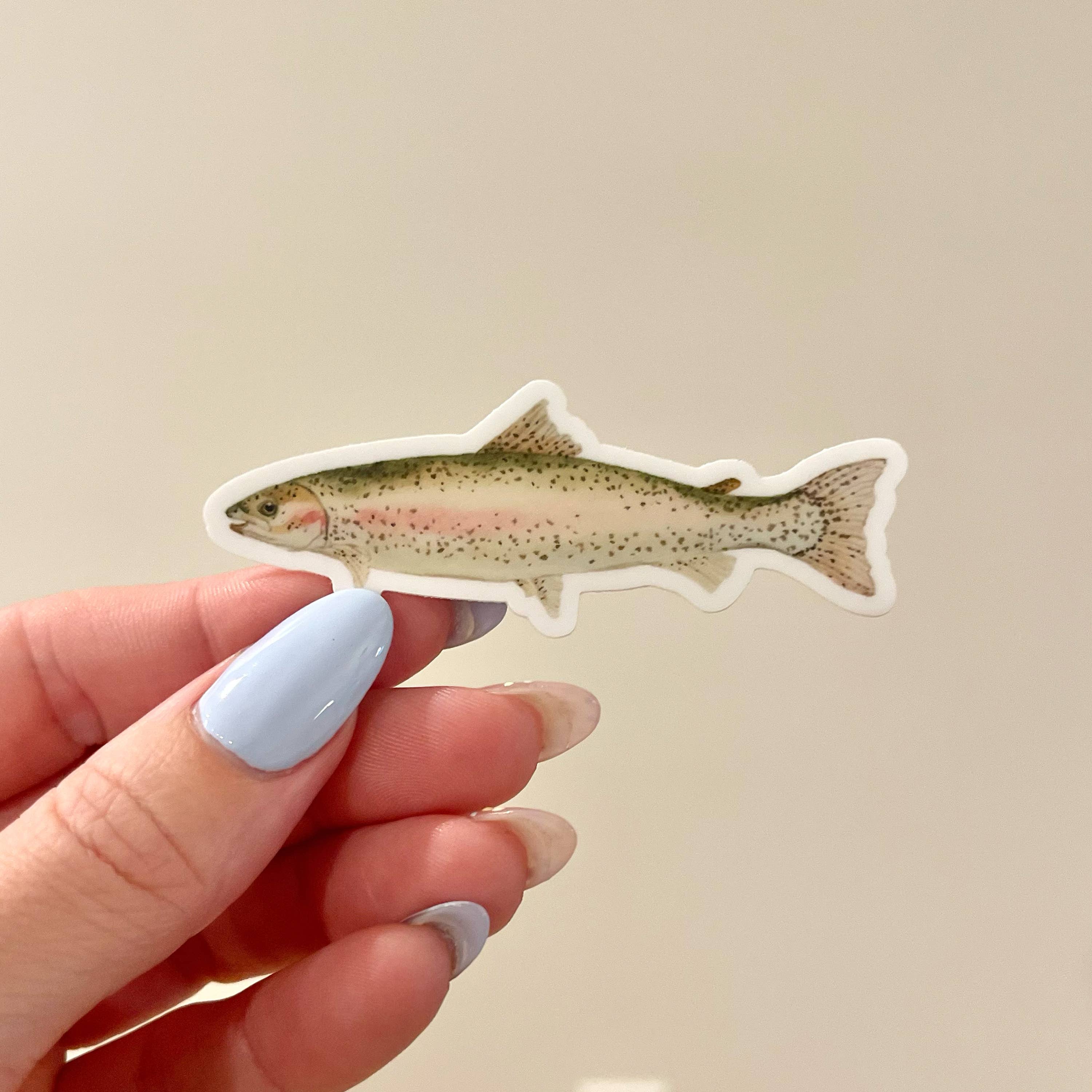 Rainbow Trout Fish Vinyl Waterproof Sticker – Bucks Bespokery