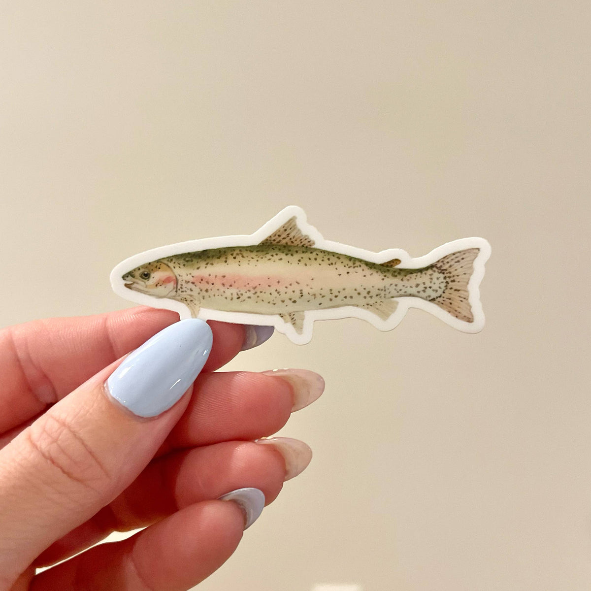Rainbow Trout Fish Vinyl Waterproof Sticker – Bucks Bespokery