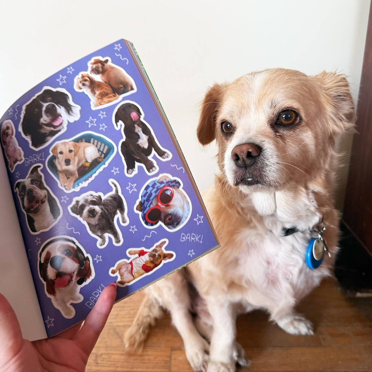 Purple dog sticker book cover with illustrated dogs next to a tan puppy