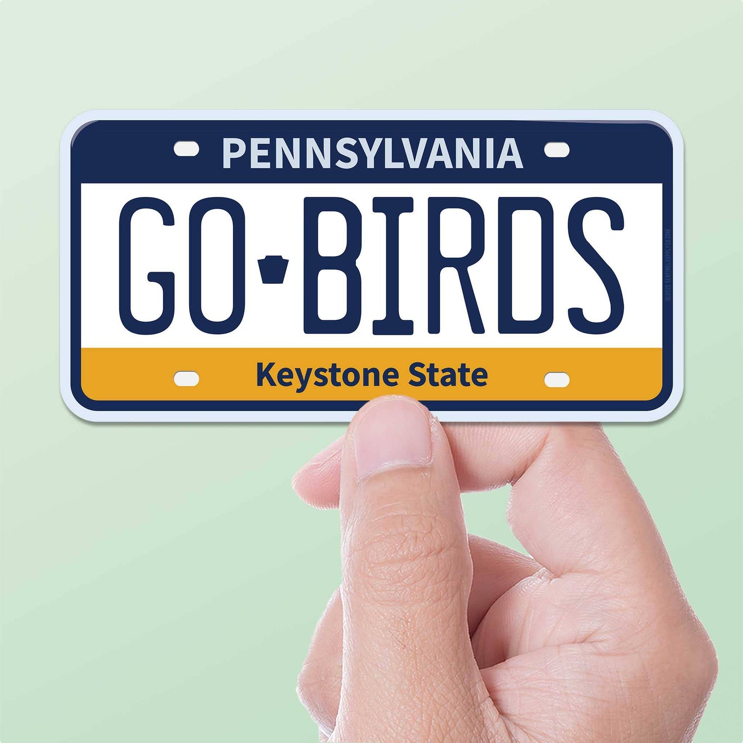Go Birds Philadelphia Eagles License Plate Sticker