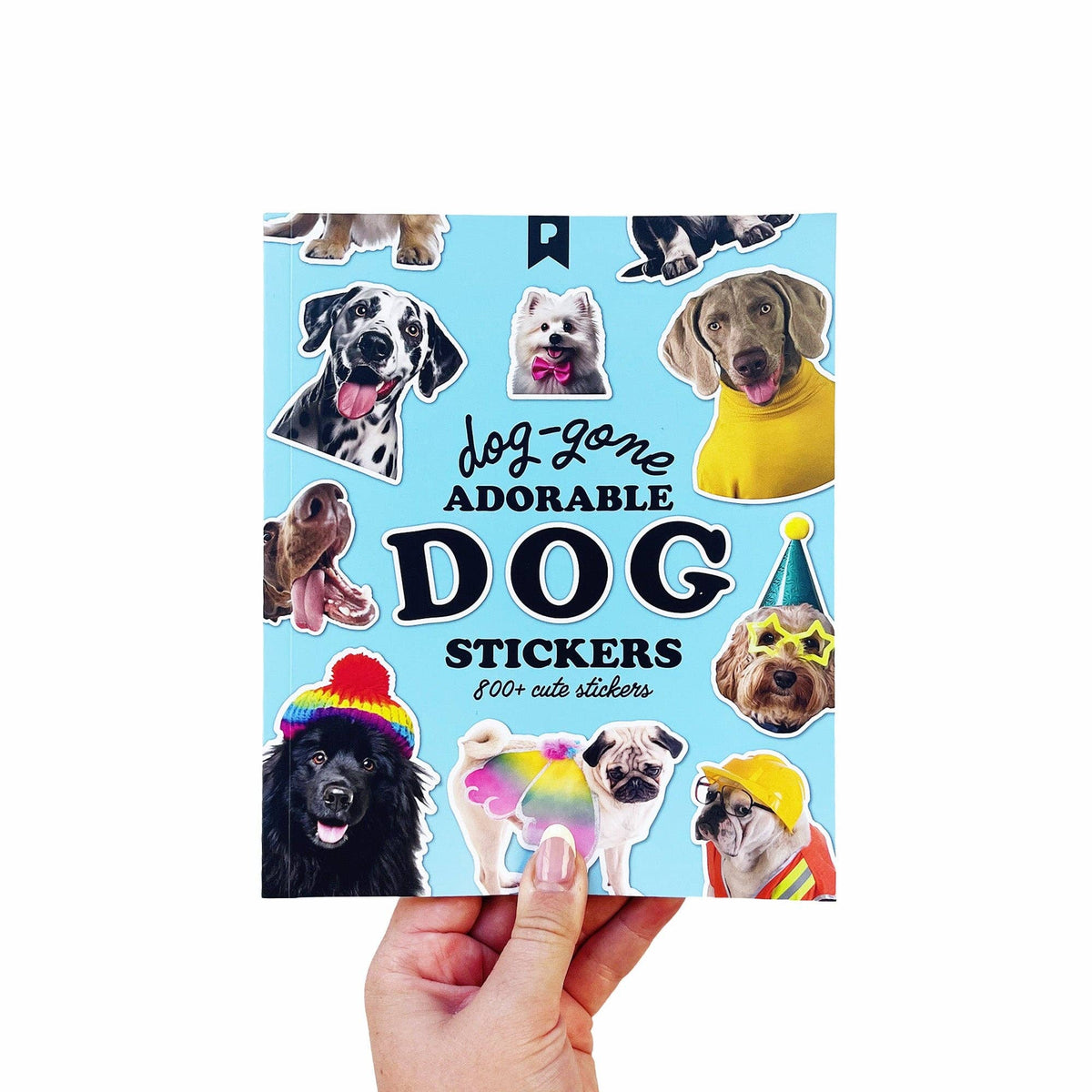 Blue dog sticker book cover held in a hand
