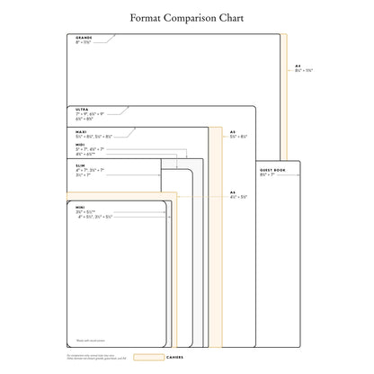 Journal format comparison chart with multiple size rectangles and labels