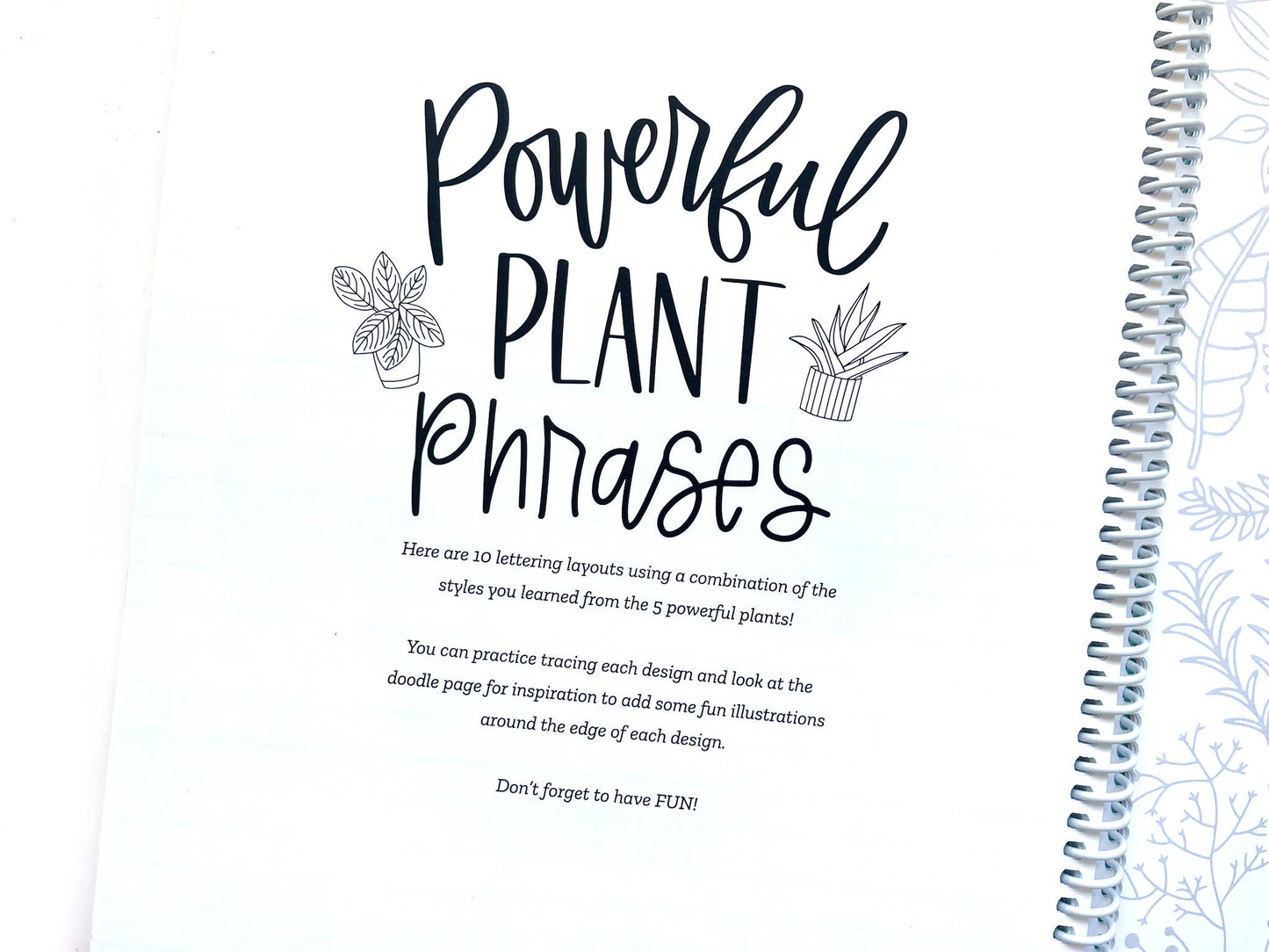 Mindful Lettering for Fun: Plant Edition