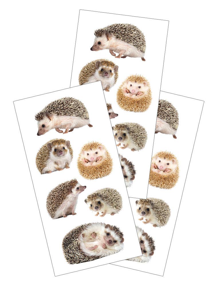 Decorative Stickers - Hedgehogs