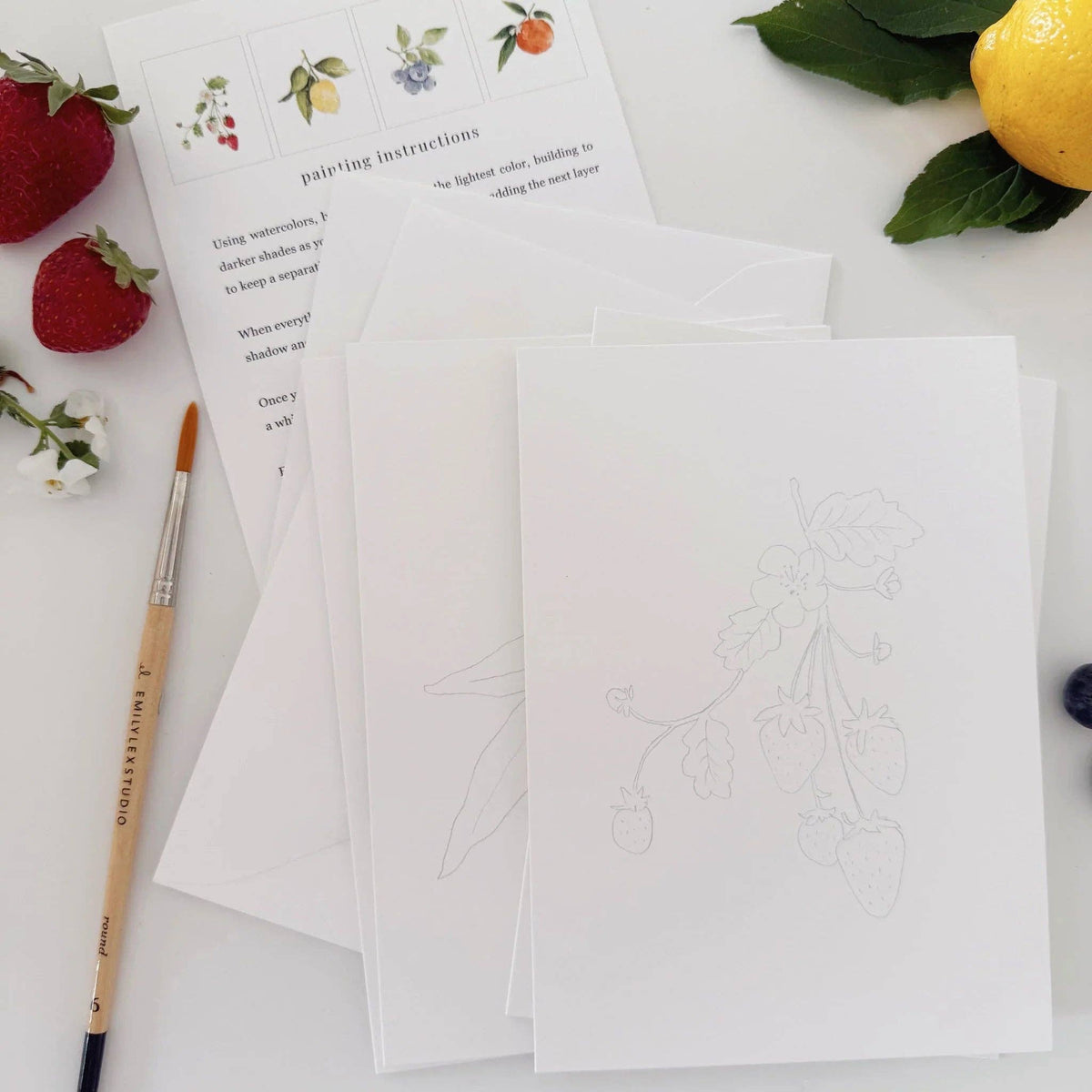 Paintable watercolor notecard set with fruit outline cards and instruction sheet.
