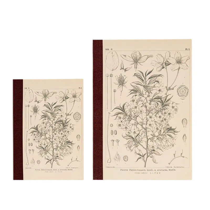 Hobonichi Accessories